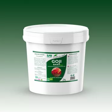 Baies de Goji BIO - 5 Kg