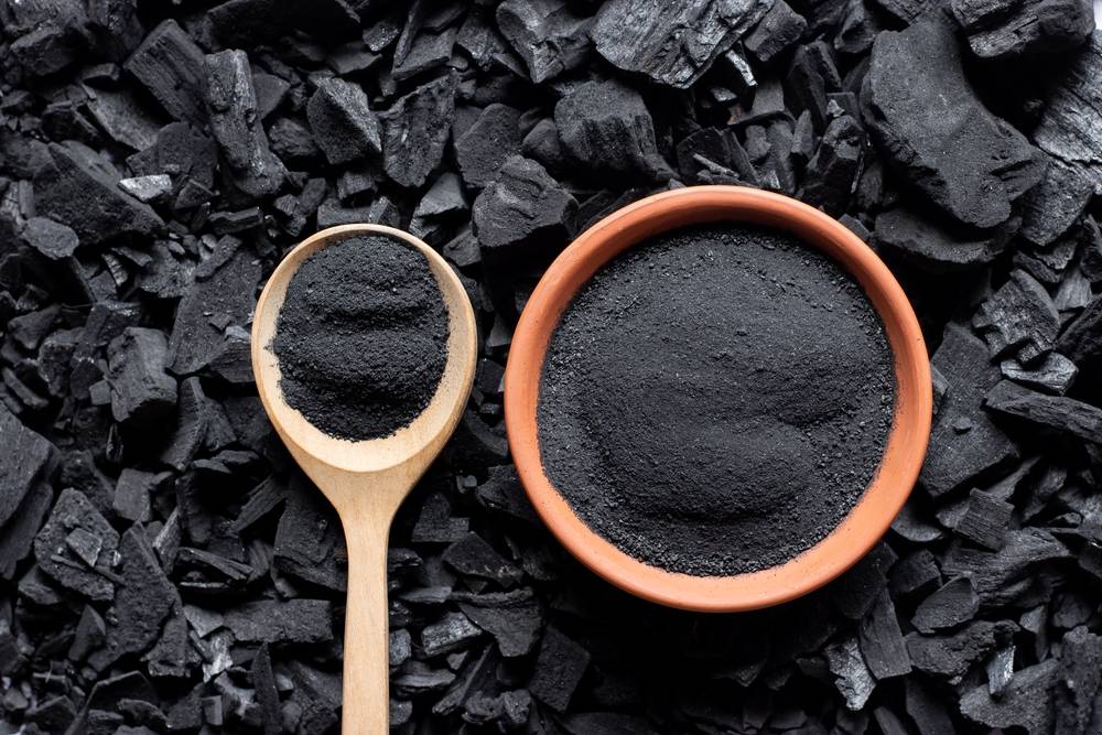 Le charbon végétal - Histoire, caractéristiques et bienfaits- Plantes et  Santé